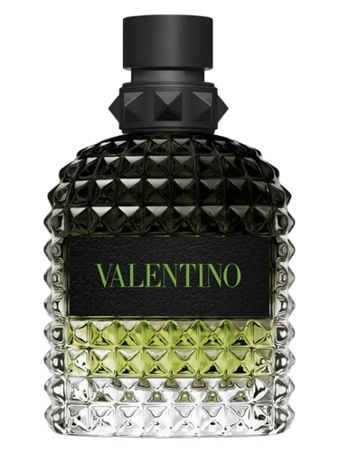 Valentino Uomo Born in Roma Green Stravaganza Fragrance Decant