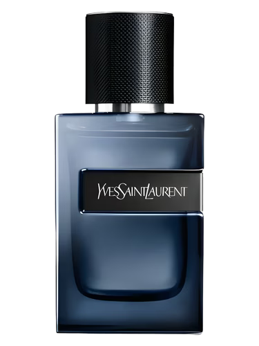Yves Saint Laurent Y Elixir Fragrance Decant